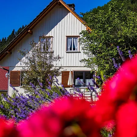 Haus Niedermaettle Apartamento