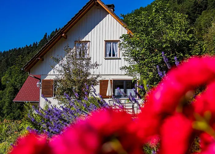 Haus Niedermaettle Appartement