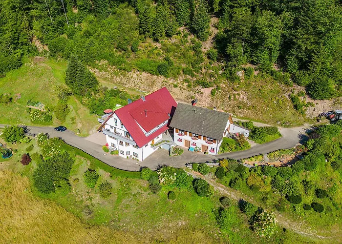 Haus Niedermaettle * Oppenau